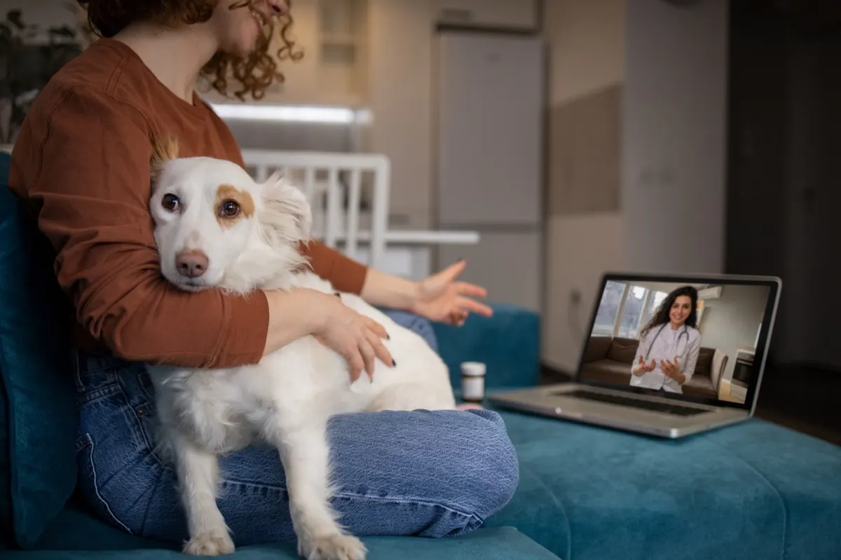 Una notebook con la veterinaria de Wagg en pantalla